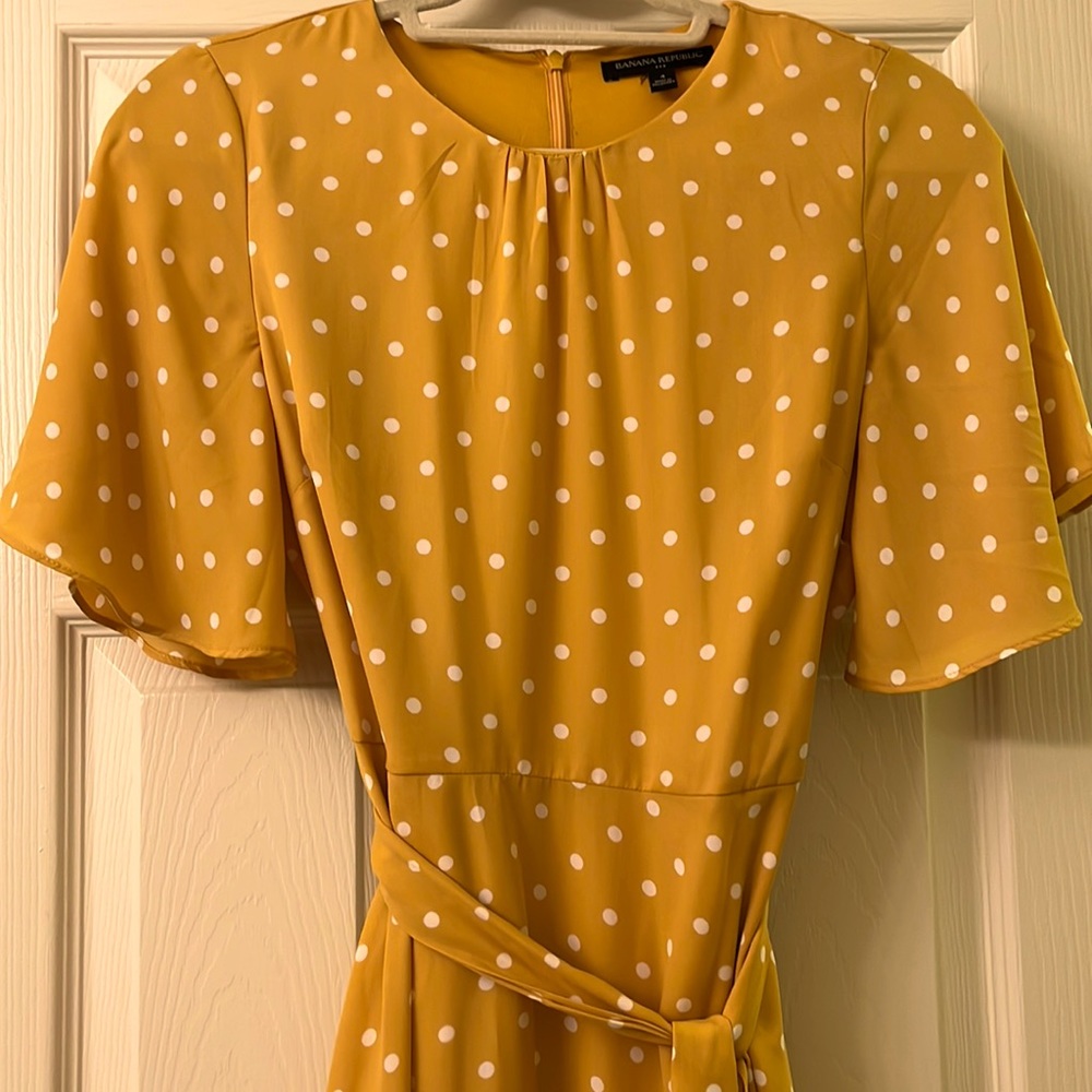 Banana Republic Polka Dot Dress